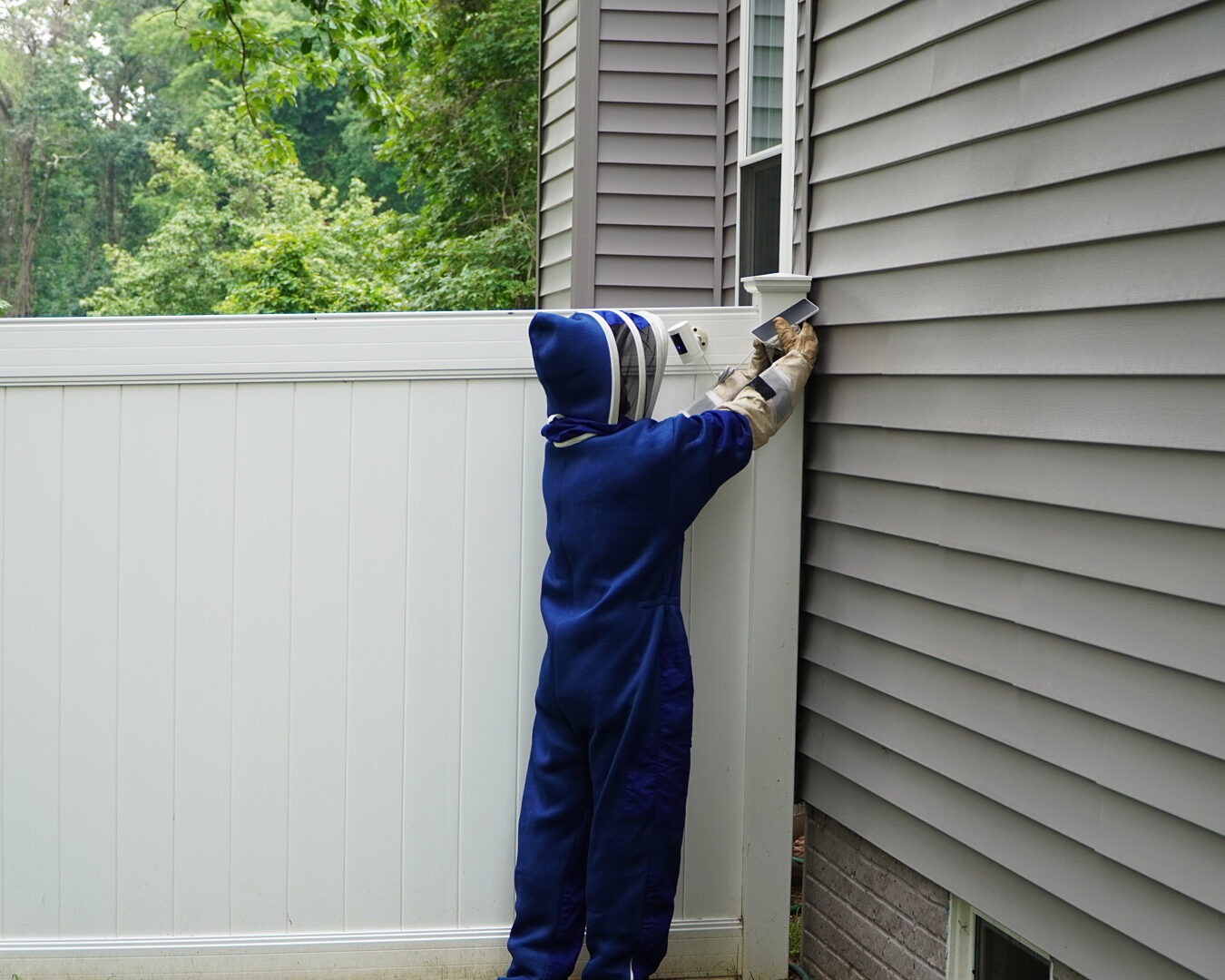 Pasternack Pest Management technician in a bee suit removing a wasp nest from a home's eaves
