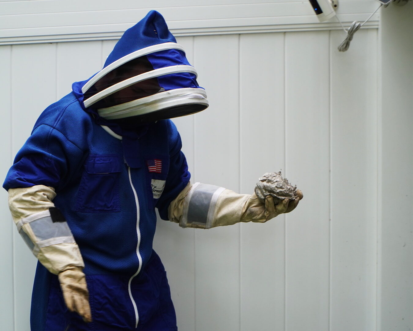 Technician in a full protective bee suit holding a removed wasp nest