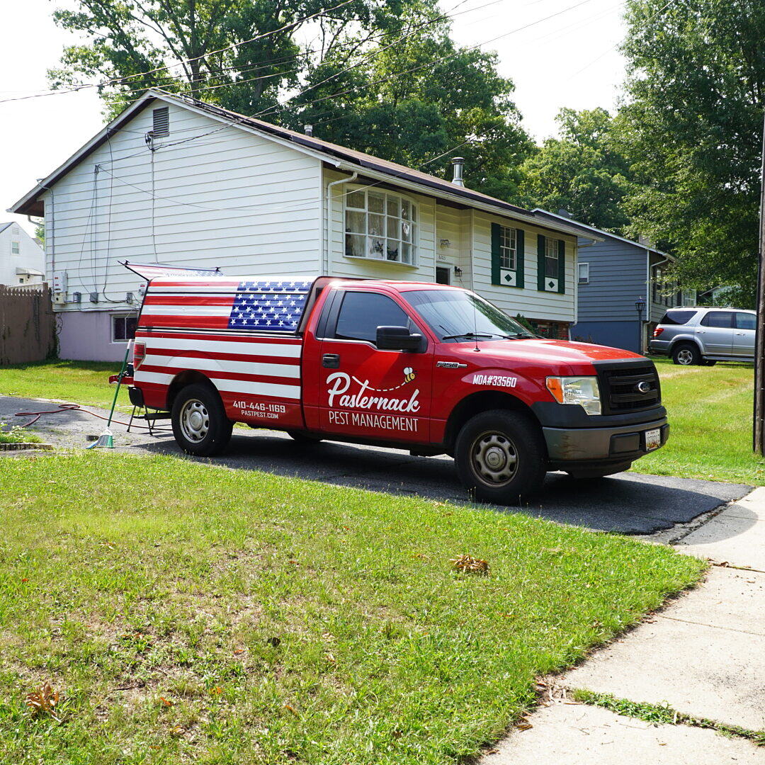 Pasternack Pest Management's flag-wrapped service truck — licensed Maryland pest control, MDA #33560